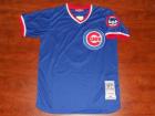 Chicago Cubs #8 ANDRE DAWSON mitchell&ness blue jerseys