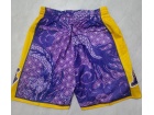 Los Angeles Lakers Purple Dragon Year Mitchell Ness Short